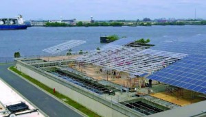 Workers place the photovoltaic modules on the racking. More than 7,200 250-watt mono PV modules were placed during the Camden project, enough to produce electricity to satisfy the needs of more than 400 homes. (Provided by groSolar)