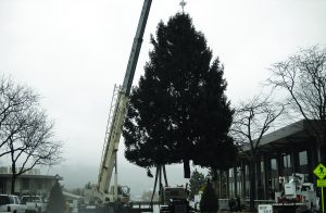 Bethlehem's electrical bureau starts decorating during the last week in September, completing a long list that include putting up lights, Christmas trees and more. The bureau wraps up its decorating by Thanksgiving, in time for the lighting ceremony that occurs on Black Friday. (Photo provided)