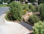 Coon Rapids has installed many rain gardens, which have come with several educational programs that teach citizens why it’s important to capture and reuse rainwater and divert it from going down the roads. (Photo provided)