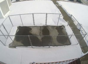 This photo is actually from a four-hour time-lapse video showing conductive concrete melting fresh snow from its surface during a winter storm in Omaha in December 2015. (Photo provided)