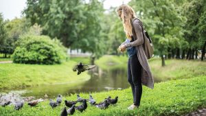 Feeding the birds is a simple yet highly overlooked way to attract rodents by allowing them an easy source of food. New Haven, Conn., is continuing an informal education campaign to discourage people from this.(Shutterstock.com)