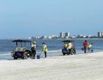 In August, workers travelled Fort Myers Beach in Lee County, Fla., using golf carts to clean up dead fi sh that washed up due to the toxic red tide. Workers wore surgical masks while performing the task. (Jillian Cain Photography/ Shutterstock.com)