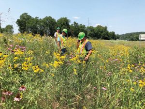 ODOT employees examine the health of the agency’s pollinator habitat located in the state-owned right of way along state Route 207 in Ross County. (Photo provided)
