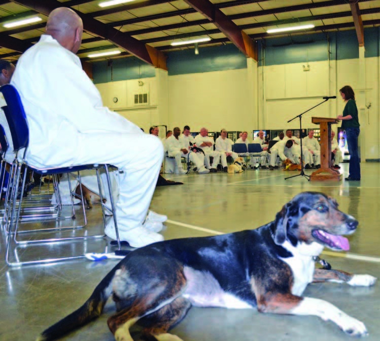 Paws in prison gives inmates and canines another chance The Municipal