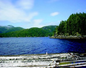 wastewater treatment systems Bio-Microbics’ wastewater treatment systems are ideal for environmentally-sensitive areas, such as near lakes and streams