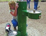 Pet fountains from Most Dependable Fountains support the needs of both pets and owners.