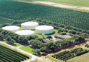 An aerial view of the Water Conserv II Distribution Center. Citrus Groves and RIB Site 3 are visible in the background.