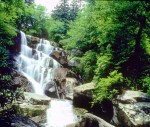 Ramsey Cascades at GReat Smoky Mountain National Park