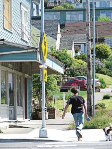 This pedestrian verification signal is activated by a push button. (Photo courtesy of Electrotechnics Corp.)