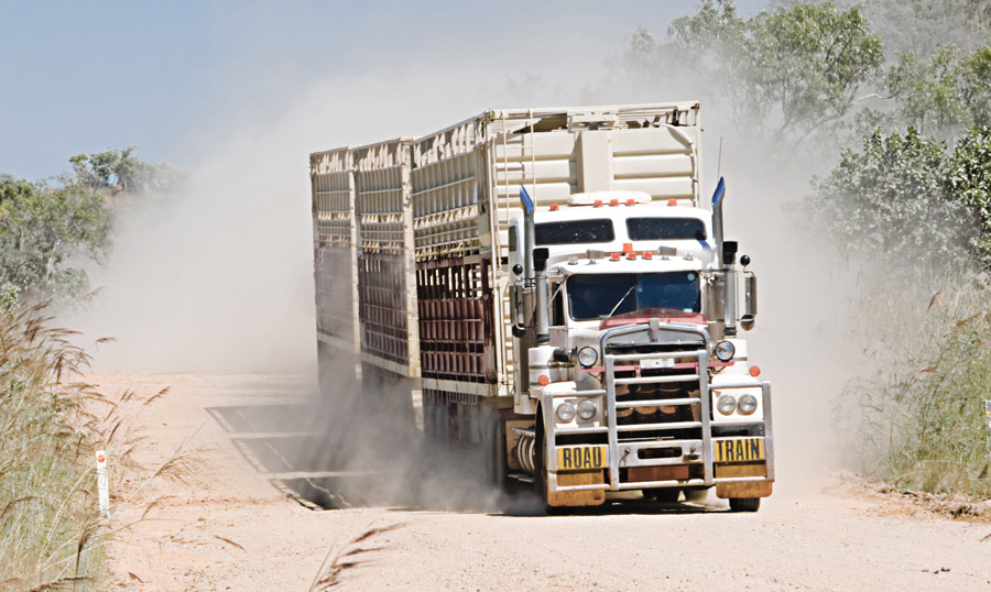 Dust control options for aggregate roads