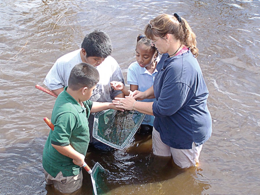 Children dip-net in Grassy Waters Reserve, West Palm Beach, Fla., to learn about its ecosystem. “We have school programs and weekend programs for families,” said Jenni Redford, city sustainability manager. (Photo provided)