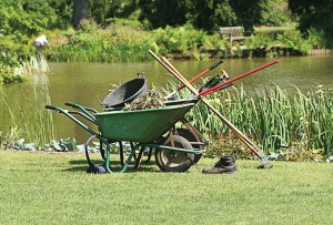 The National Recreation and Parks Association offers park and recreation professionals a way to evaluate and advance their sustainable landscape practices by attending a comprehensive, two-year Green School offered by the organization. (Shutterstock photo)