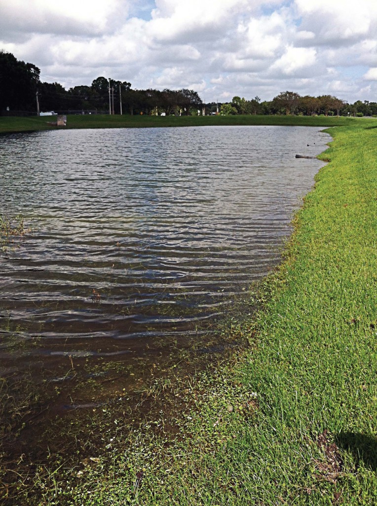 Pictured is a pond after bioremediation to remove a hydraulic oil spill. (Photo provided by CL Solutions LLC)
