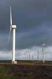 Pulse feedback disruptions caused by wind farms can result in the triggering of unnecessary severe storm, tornado and flash flood warnings or, conversely, delays in issuing such warnings when they are justified. (Alastair Wallace / Shutterstock.com)