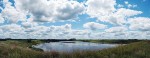 Madelia, Minn., officials opted to decommission land previously used for wastewater treatment and develop it to expand the city’s pheasant hunting habitat and to bring the ponds to their highest and best use. (Photo by Bre McGee)