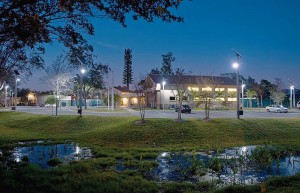 solar-powered LED lights