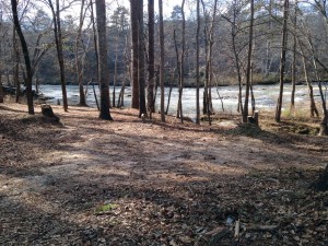 This area was very dense and overgrown. The city cleaned it and opened up the view of the river in the Porterdale Yellow River Park.