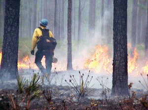 A crew member monitors a prescribed fire in Cherokee National Forest in Tennessee. (Photo provided)