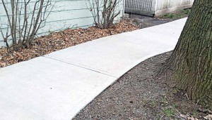 A sidewalk in Ithaca, N.Y., heaved up, most likely from the tree’s roots. Prior to the city’s enacting a Sidewalk Improvement District, the property owner would have been responsible for the cost of replacing or repairing the sidewalk. (Photo provided)