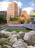 The Outwash Basin, located outside The Ray and Maria Stata Center at the Massachusetts Institute of Technology, reduces pollutant loads in rainwater and downstream damage from runoff while safely moving, controlling and containing rainwater, even capturing it for reuse. (Photo by Stuart Echols and Eliza Pennypacker)