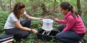 Mosquito traps — like this gravid trap — used to monitor for West Nile disease will be ineffective when monitoring for Zika; instead, BG-Sentinel mosquito traps and Ovitrap cups will need to be used. (Photo by Sarah Wright)