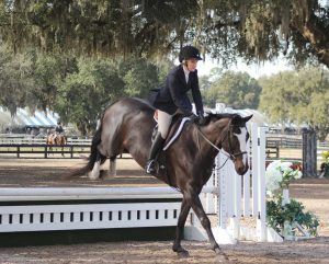 Ocala hosts “Horses in the Sun,” a two-month dressage and jumper competition, which brings nearly $7 million into the county each year.(Photo provided by Ocala/Marion County Visitors and Convention Bureau)