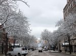 Despite the frost and ice on the trees in downtown Holland, the snowmelt system is working to keep the streets and sidewalks free of snow and ice. Holland is home to the largest publicly owned snowmelt system in the United States, and it has been a draw for downtown development. (Photo provided)