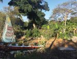 Delray Beach has a community orchard and six community gardens run by diverse organizations that address food-insecurity. The city’s planning and zoning staff has also created a progressive urban agricultural ordinance to encourage farm-to-fork production of local food. (Photo provided)