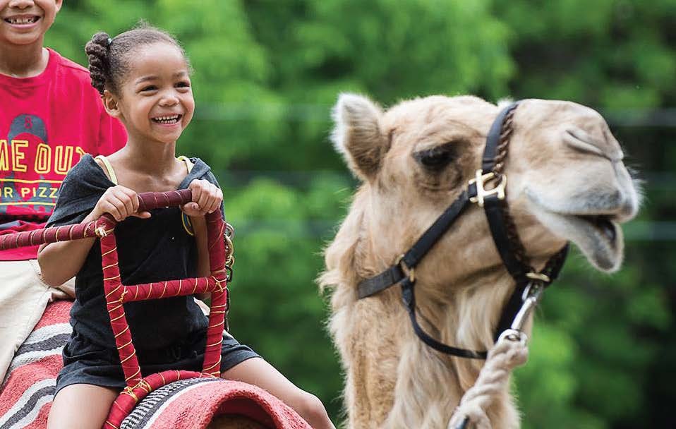 Pictured is a scene from the Cleveland Zoo, which is part of the Metroparks. (Photo provided by Cleveland Metroparks/ Kyle Lanzer)