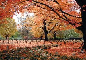 The Confederate cemetery contains an estimated 2,000 graves, two-thirds of which are the resting places of African American soldiers and slaves. (Photo provided by Ted Delaney)