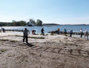 Volunteers plant marsh grasses on an unprotected beach. Coastal marshes can help protect against the effects of sea level rise. (Photo provided)