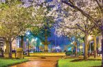 Picking the right mediums for communications can keep residents and visitors attuned to a city’s off erings, including local parks, services and events. (Shutterstock.com)