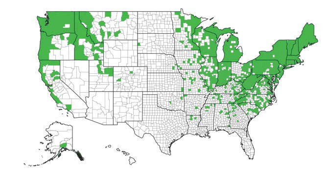 This map shows the areas of the U.S. that are being invaded by Japanese knotweed. In addition to being hard to remove, knotweed also spreads easily. (Map provided)