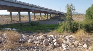 The dry Salt River bed becomes an accidental wetland when water collects there after a rain event or from runoff. Dr. Monica Palta has been studying this accidental wetland to see if the ecosystem is functioning and was pleasantly surprised to find that it is without any assistance. Locals come to this area to get some shade and respite from the Arizona heat. (Photo provided)