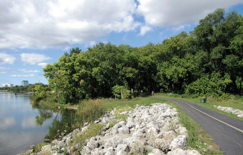 Potential bicycle paths connecting the village to surrounding cities and additional points of access to existing trails are being explored by Elk Grove Village. Pictured is the Busse Woods Trail System, one of the village’s most popular trails. (Bohao Zhao via English Wikimedia, creativecommons. org/licenses/by/3.0/deed.en)