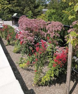 Along each side of East Spring Street, planters were designed and placed to more effectively manage the flow of stormwater, reducing erosion and sedimentation. These allow stormwater to be filtered naturally before ending up in the creek. (Photo provided by the village of Williamsville)