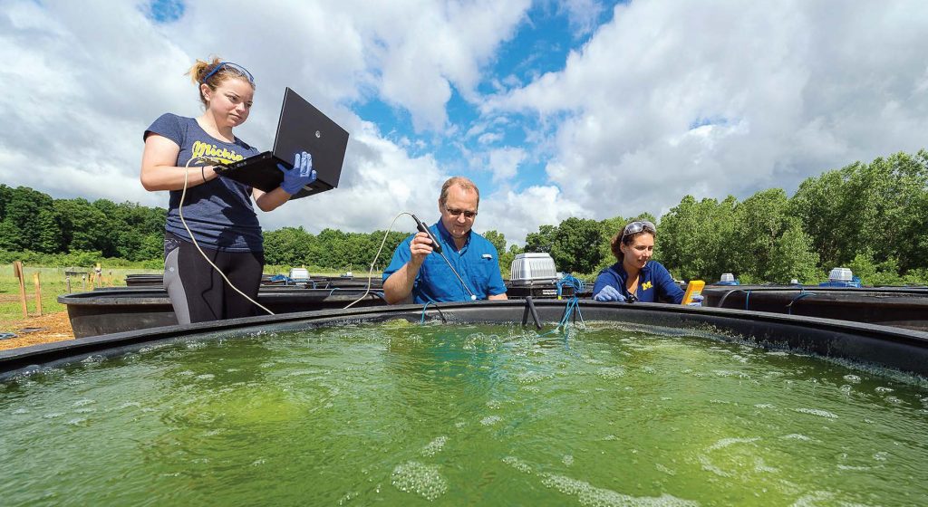 Funded by a $2 million grant from the U.S. Department of Energy, U of M aims to create biofuels using algae that work in existing diesel engines, ultimately reducing greenhouse gas emissions by 60 percent compared to normal diesel fuels. (Photo provided)
