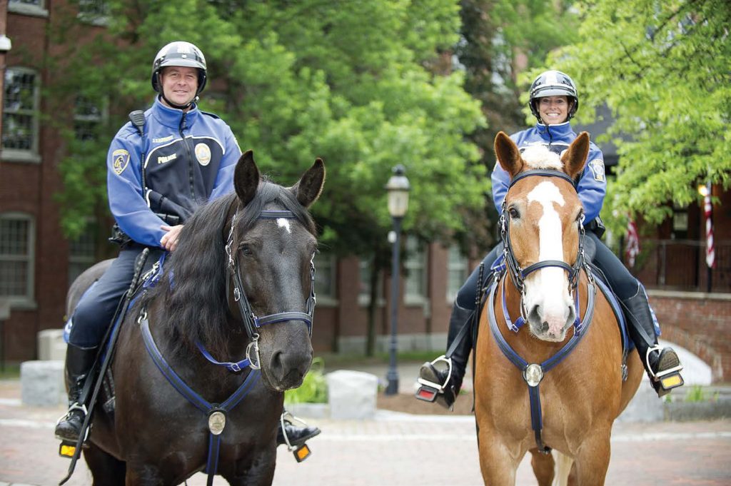 Officers Joe Caproni and Michelle Murch of the Dover Mounted Police pose with their horses. Caproni is on Rasa, a Percheron-cross and the first mare in the department, and Murch rides CJ, a Belgian gelding. (Photo provided)
