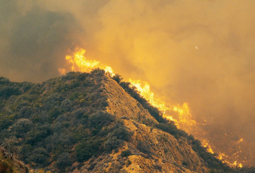 While fi re suppression is extremely useful and necessary, it can cause a buildup of underbrush, which can make wildfi res larger and more powerful than seen previously. The most common natural cause of wildfi res is lightning. (Photo provided by USDA Forest Service, Missoula Fire Sciences Lab)