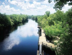 For greater longevity, the riverwalk was constructed from extra thick decking to prevent decay from flooding. The current boards are at the end of their lifespan and will be replaced before summer with boards that use newer treated lumber techniques. (Photo provided)