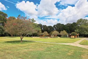 Poverty Point, Pioneer, Louisiana