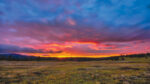 new mexico