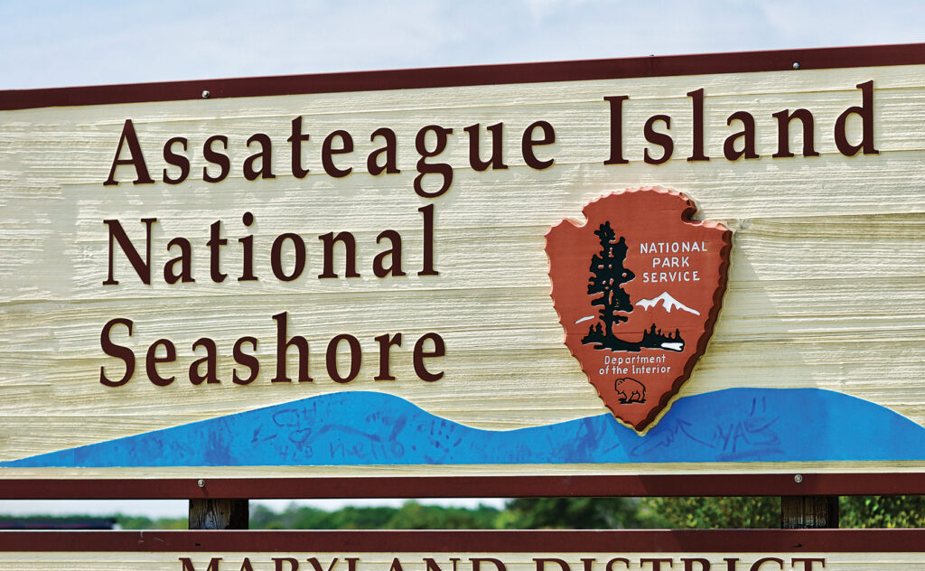 assateague island