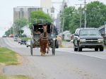No2: With the Amish population increasing nationwide, programs are developing to decrease the number of accidents between horse-drawn buggies and motor vehicles. Accidents between buggies and motor vehicles usually result in serious injury or death to the buggy drivers and their passengers. (Shutterstock.com)